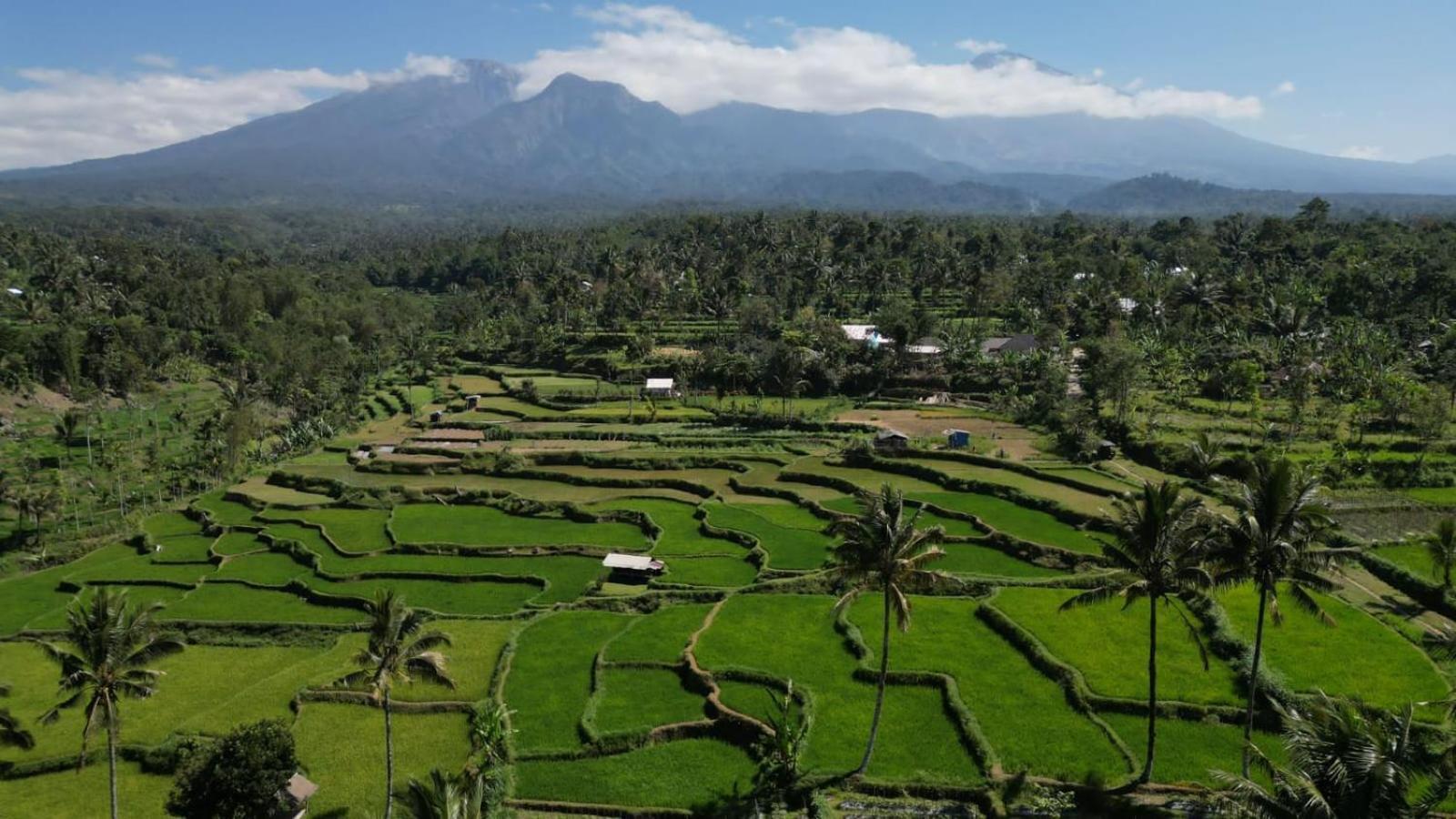 Serenity Lodge Tetebatu Lombok Ngoại thất bức ảnh